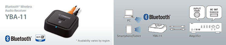 Optional Bluetooth Adapter