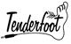 Tenderfoot Electronics