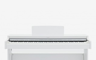 Digital Pianos | Gear4music