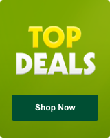 Top Deals